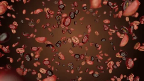 Calm Roasted Coffee Beans Falling Stock Footage 282955284
