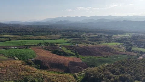 Calm Rural Forest with Mountain Background Video stock 325686533