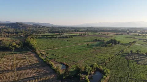 Calm Rural Landscape with Rice Fields and Forest from Above Stock-Footage 326176277