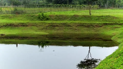 Calm rural pond reflecting trees and green countryside landscape 動画素材 337928923