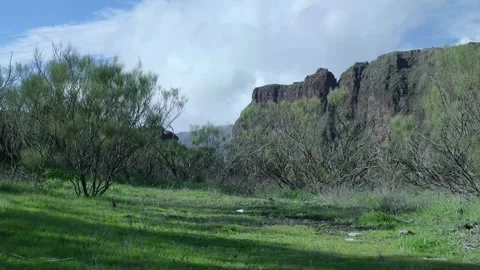 Calm Rural Setting With Sunlight And Cliffs. Peaceful Meadow Opening To Rocky Stock Footage 328047197