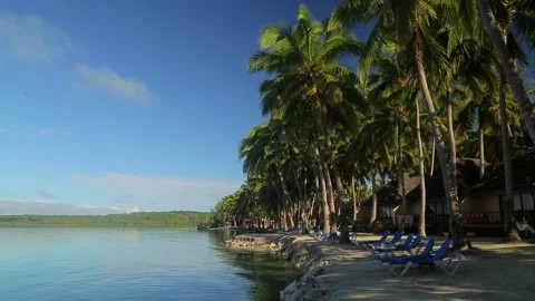 A calm sandy beach with sun beds and palm trees. Stock-Footage 201604148