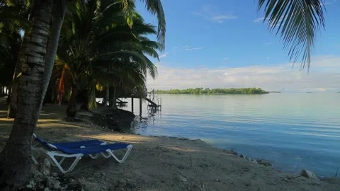 Calm sandy beach with white and blue sun beds and palm trees, ocean view, idyll. Stock Footage 201605078