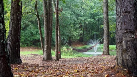Calm Scene After Rain with Hammock and Pond Fountain Sound Stock Footage 319027023