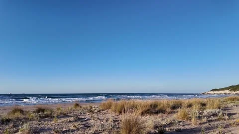 Calm Sea Stock Footage 312472460