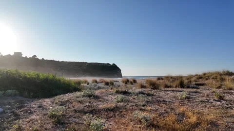 Calm Sea Stock Footage 312474455