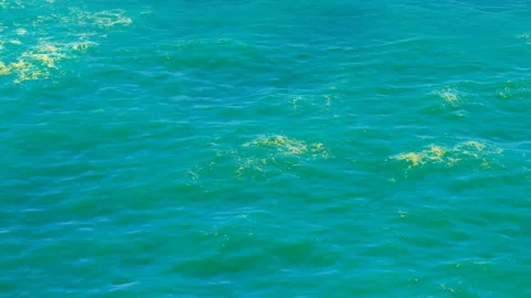 Calm sea with rolling waves Stock Footage 288279890