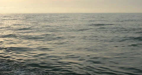 Calm sea at the sunset Stock Footage 110840435