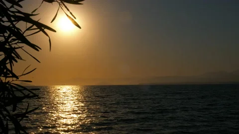 Calm sea sunset. Stock Footage 231925675