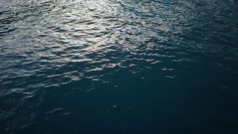 Calm sea surface close up at sunset time, low angle view Stock Footage 128443904