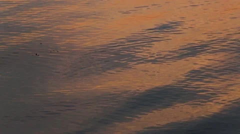 Calm sea surface Stock Footage 61325386