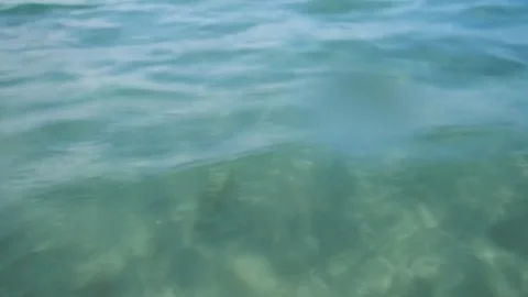 Calm sea surface Stock Footage 109290814