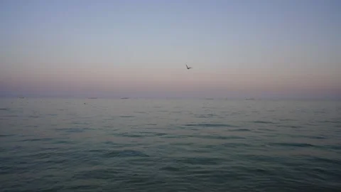 Calm sea under clear evening sky with flying seagull and cargo ships Video stock 162189308