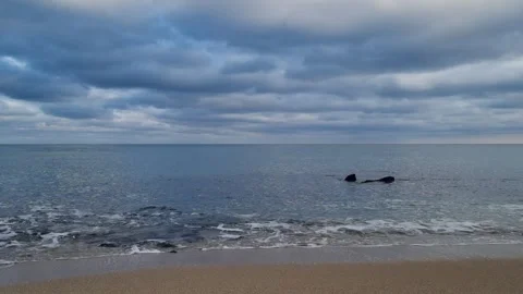 Calm sea under dramatic cloudy sky with gentle waves on shore Stock Footage 322124789