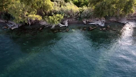 Calm sea under the shade of forest along the coast in Greece Stock Footage 319749375