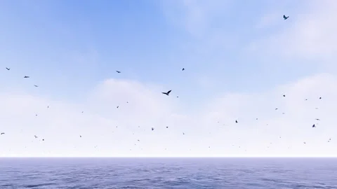 Calm Sea View Stock-Footage 263928562