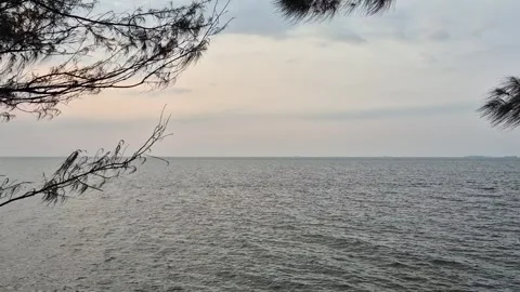 Calm sea view Video stock 336143727