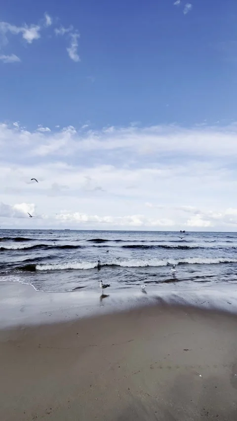 Calm Sea View Vertical Composition Stockbeeldmateriaal 344043610