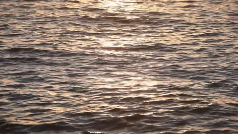 Calm sea water surface. Sunset water reflection Stock Footage 78420174