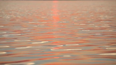 Calm sea water surface. Sunset water reflection Stock Footage 78420197