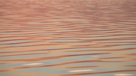 Calm sea water surface. Sunset water reflection Stock Footage 87619013