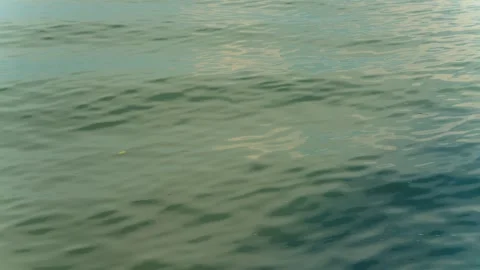 Calm sea water surface texture with gentle ripples and soft reflections Stock Footage 341002405