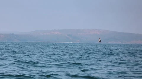 Calm Sea Waves With Distant Hills Scenic View Vídeo Stock 330279004