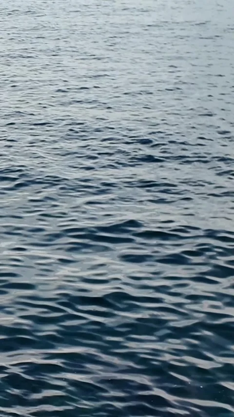 Calm sea waves during sunset, vertical background Stock Footage 276642030