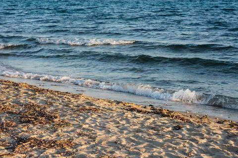 Calm sea waves gently rolling onto a sandy beach with natural seaweed debris Stock Photos