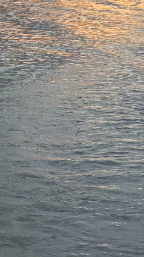 Calm sea waves with reflection of golden sunset along a serene beach Stock Footage 296608413