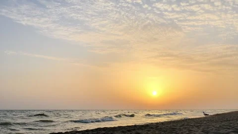 Calm Sea Waves Rolling Onto Sandy Shore at Sunset Under Soft Sky Video stock 343490370