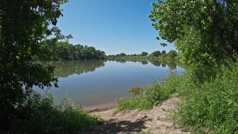 Calm section of the sacramento river with trees reflecting on water Stock-Footage 336027393