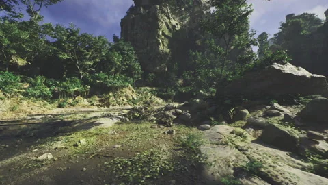 Calm shadowed valley featuring damp soil and subtle illumination Stock Footage 335101529