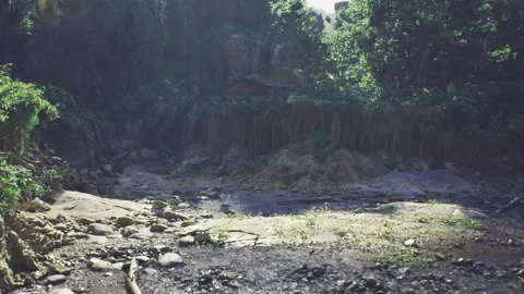 Calm shallow brook under illuminating canopy with pebble arrangements Stock Footage 342922498