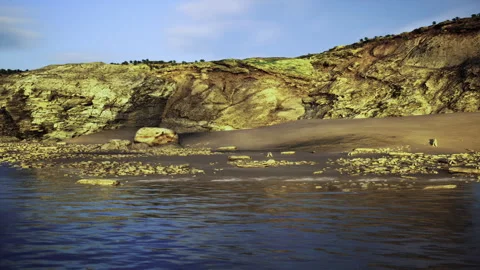 Calm shallow pools showcase rugged cliffs and scattered shells Stock Footage 331396490