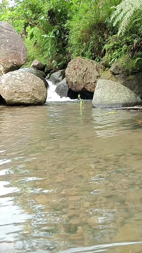 Calm Shallow River With Large Rocks in Tropical Nature Stock Footage 329786872