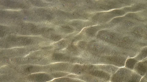 Calm shallow water Stock Footage 91236334