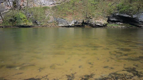 Calm shallow water river.mp4 Stock Footage 37556397