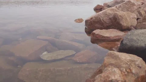 A Calm Shoreline by a Lake Stock Footage 267751624