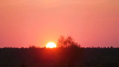 Calm Shot of Pink Sun Setting on the Horizon 스톡 동영상 133366936