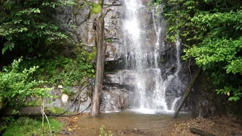 Calm Slow Motion Waterfall Pan Down in Forest Stock Footage 236591369