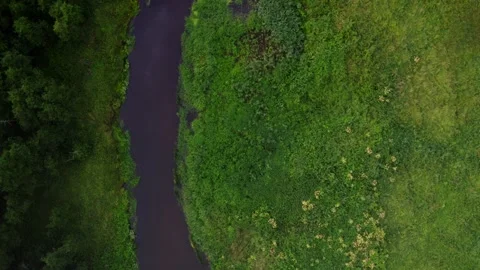 Calm small curving river between green fields Stock Footage 278983960