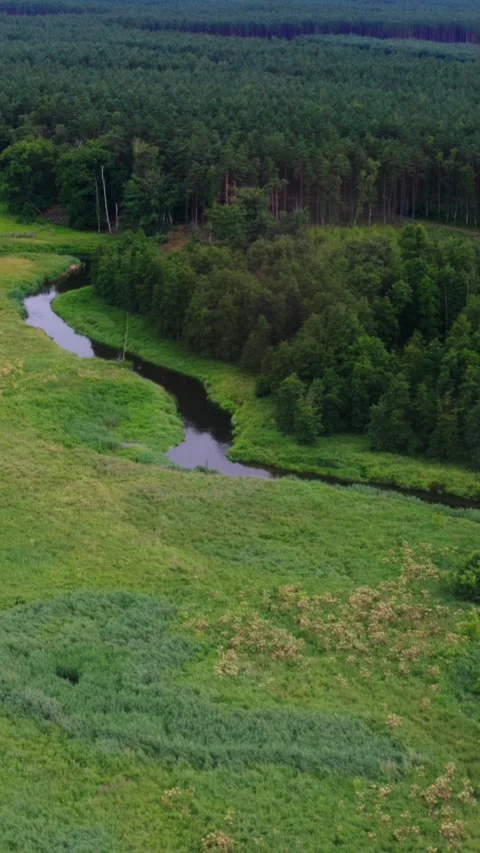 Calm small curving river between green fields Stock Footage 279552438