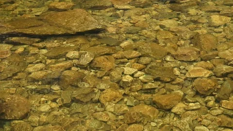 Calm small river. Stock Footage 117506496