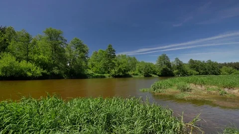 Calm, small river in spring time.  Stock-Footage 76251395