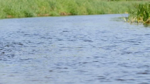 Calm, small river in spring time. Stock-Footage 116375574