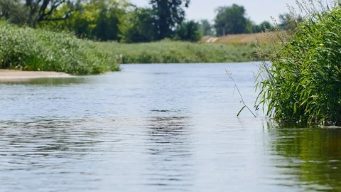 Calm, small river in spring time. 動画素材 116377084