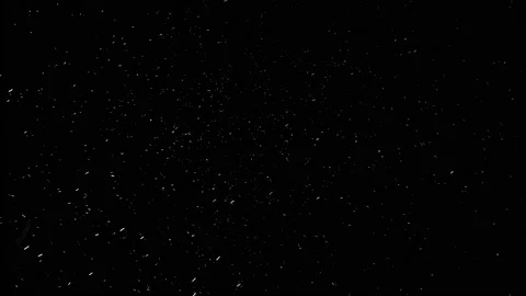 Calm snow falling down from the sky on black background. Stock Footage 143932244
