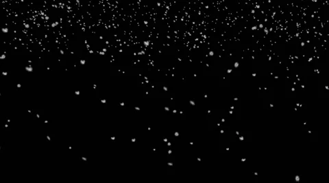 Calm Snowfall Stock-Footage 44240568