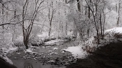 Calm Snowy River Through Winter Forest Stock Footage 305957648